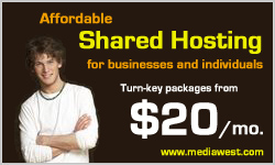 Affordable shared hosting for businesses and individuals.